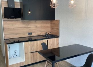 Продажа квартиры студии, 23 м2, Мурино, улица Шоссе в Лаврики, 67, ЖК Муринское-1