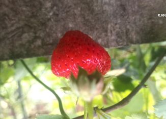 Участок на продажу, 16000 сот., село Воздвиженка, Ленинская улица