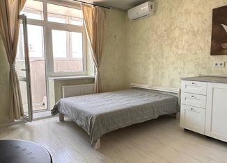 Квартира на продажу студия, 27 м2, Краснодар, улица им. Героя Яцкова И.В., 9к3, микрорайон Губернский