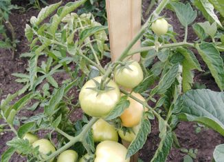 Продается дом, 50 м2, СНТ Родничок-1, Сиреневая улица