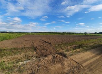 Продам участок, 21 сот., посёлок ЛПХ Ольгино, 2-я линия