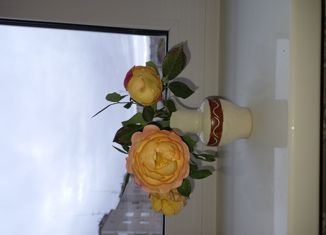 Продам 2-комнатную квартиру, 44.5 м2, поселок Северный, Нагорная улица, 6кв1