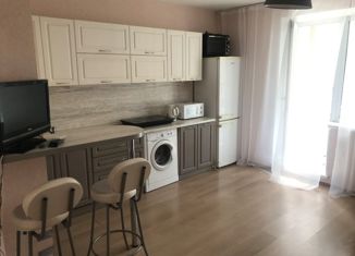 Продаю квартиру студию, 24.4 м2, Челябинск, улица Петра Столыпина, 3, Центральный район