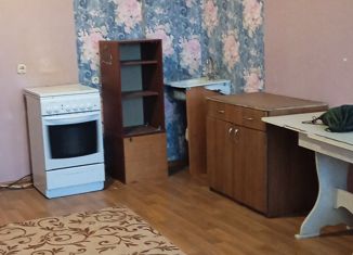 Сдам квартиру студию, 25 м2, деревня Хохряки, Тепличная улица, 30