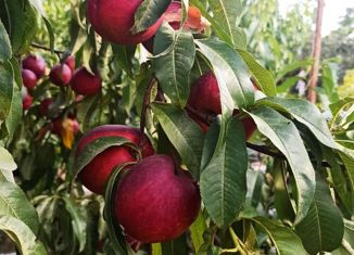 Продается участок, 2.93 сот., Саки