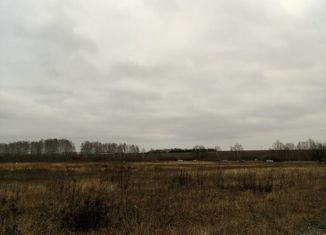 Земельный участок на продажу, 14 сот., деревня Новые Бирюли, Зелёная улица