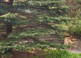 Продажа участка, 17.5 сот., посёлок Вёшки, улица Тютчева, 2