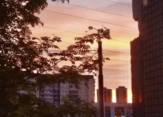 Продам 3-комнатную квартиру, 80 м2, Санкт-Петербург, проспект Испытателей, 24к1, проспект Испытателей