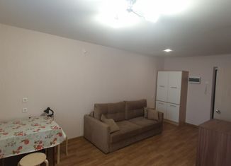 Квартира на продажу студия, 28.9 м2, посёлок Западный, улица имени Генерала Костицына, 5