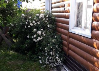 Продам дом, 50 м2, СНТ Берёзка Петропавловскремстрой, Фестивальная улица