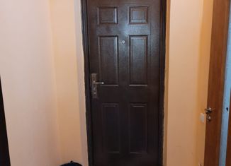 Сдача в аренду квартиры студии, 20 м2, Ставрополь, проспект Юности, 12