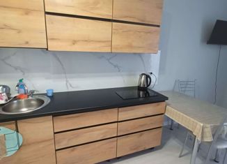 Сдаю квартиру студию, 27 м2, Верхняя Пышма, улица Машиностроителей, 25, ЖК Рифей