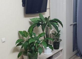 Продажа 1-ком. квартиры, 33.4 м2, Тюменская область, микрорайон Солнечный, 3