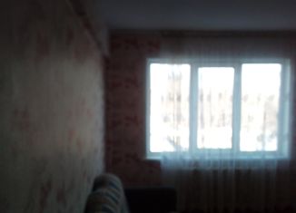 Однокомнатная квартира в аренду, 31 м2, Рубцовск, улица Федоренко, 24