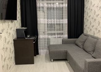 Продам 1-комнатную квартиру, 31 м2, деревня Царёво, улица Петра Гаврилова, 26