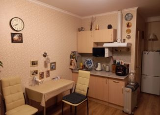 Продается квартира студия, 18.5 м2, Москва, Покровская улица, 17к3, метро Некрасовка