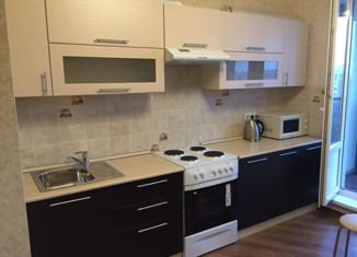 Сдам в аренду 2-ком. квартиру, 64 м2, Санкт-Петербург, проспект Обуховской Обороны, 110к1, ЖК Молодёжный