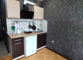 Продаю квартиру студию, 19 м2, Михайловск, улица Александра Грибоедова, 3/2
