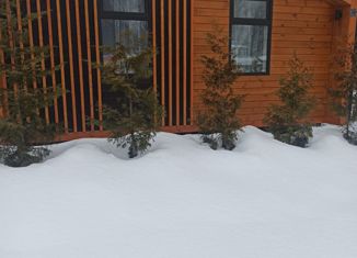 Дом на продажу, 91 м2, село Душоново, Лесная улица