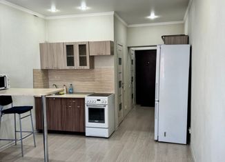 Продам квартиру студию, 27 м2, Абакан, улица Некрасова, 45