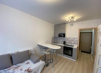 Продается квартира студия, 20 м2, посёлок Мичуринский, улица Евгения Савкова, 46