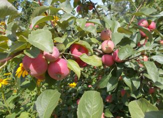 Продаю дом, 10 м2, Омск, Ленинский округ