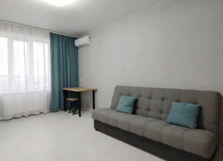 Квартира на продажу студия, 24.4 м2, посёлок Российский, улица имени В.М. Комарова, 21Б