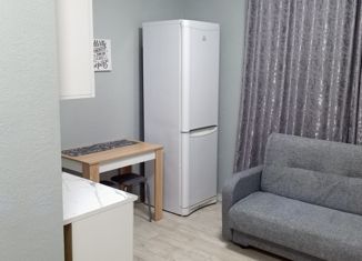 Сдается квартира студия, 16 м2, Москва, улица Талалихина, 39, улица Талалихина