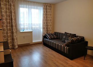 Квартира на продажу студия, 24.5 м2, Колпино, ЖК Новое Колпино