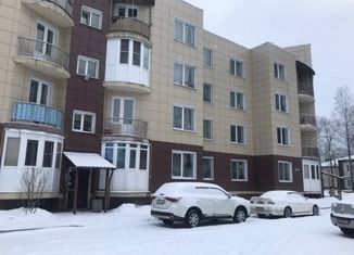 Продаю 3-комнатную квартиру, 57.9 м2, городской посёлок Дубровка, Советская улица, 39К2