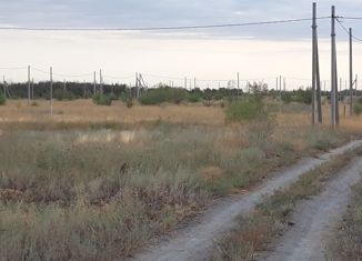 Продается участок, 6.4 сот., Волгоград, Красноармейский район, Мускатная улица, 10