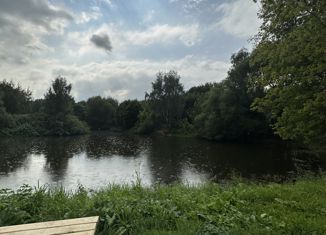 Продается земельный участок, 7.21 сот., деревня Нижнее Велино