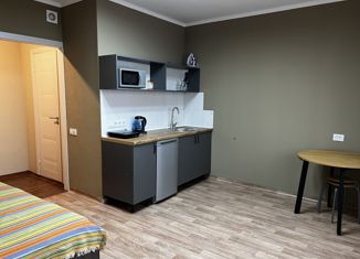 Квартира в аренду студия, 24 м2, Красноярск, улица Петра Подзолкова, 5А, ЖК Светлый