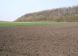 Земельный участок на продажу, 280 сот., село Старая Безгинка