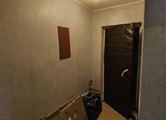 1-ком. квартира на продажу, 29.7 м2, Саров, улица Академика Харитона, 8