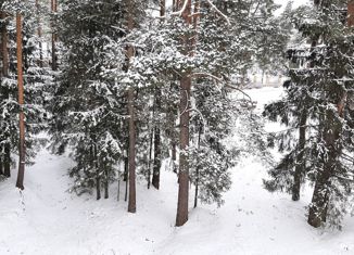 Земельный участок на продажу, 17.5 сот., деревня Рябеево