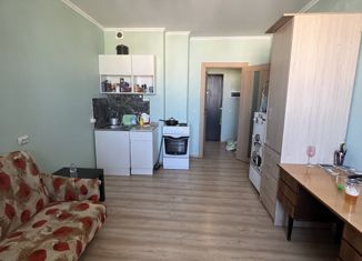 Продам квартиру студию, 20.2 м2, Мурино, ЖК Краски Лета, улица Шувалова, 17