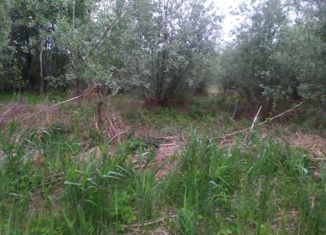 Продаю земельный участок, 20 сот., СПК Дубник