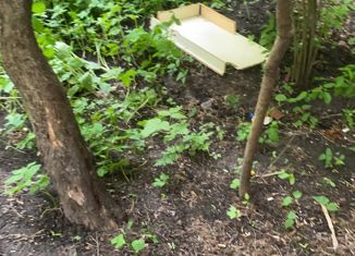 Продажа земельного участка, 53 сот., деревня Новосёлки