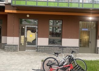 Офис на продажу, 38 м2, посёлок Шушары, Старорусский проспект, 11