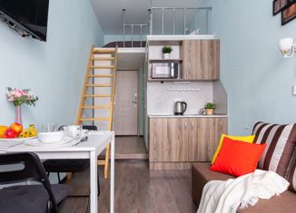 Продам квартиру студию, 18 м2, Санкт-Петербург, Тележная улица, 26-28, метро Площадь Александра Невского-2