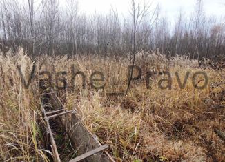 Продаю земельный участок, 10.2 сот., деревня Совьяки, Школьная улица