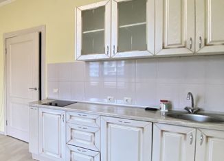 Продается квартира студия, 23.9 м2, деревня Кудрово, Пражская улица, 7