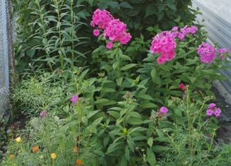 Участок на продажу, 5.2 сот., Арзамас, 10-я линия, 2