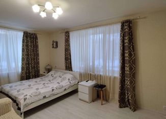 Продается 2-ком. квартира, 43 м2, Санкт-Петербург, Сердобольская улица, 37к2, Сердобольская улица