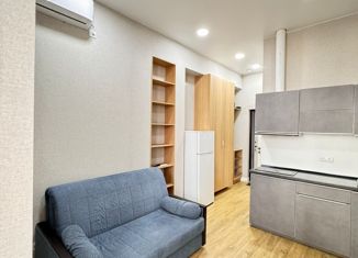 Продается квартира студия, 19 м2, Сочи, Клубничная улица, 62, микрорайон Новый Сочи
