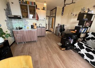 Продам квартиру студию, 24 м2, Великие Луки, улица Гоголя, 15