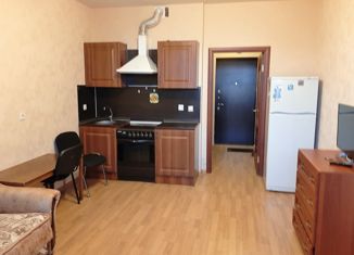 Квартира в аренду студия, 24 м2, Мурино, Охтинская аллея, 6, ЖК Мой Город