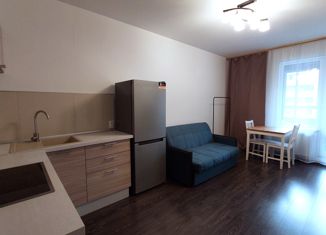 Продам квартиру студию, 28 м2, Санкт-Петербург, улица Генерала Кравченко, 3к1, Красносельский район