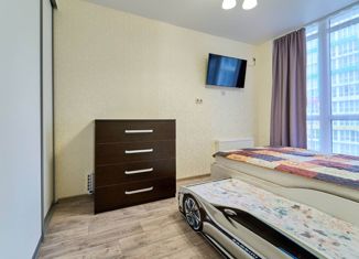 Сдается 2-комнатная квартира, 37 м2, Сочи, Пластунская улица, 123Ак2, микрорайон Макаренко